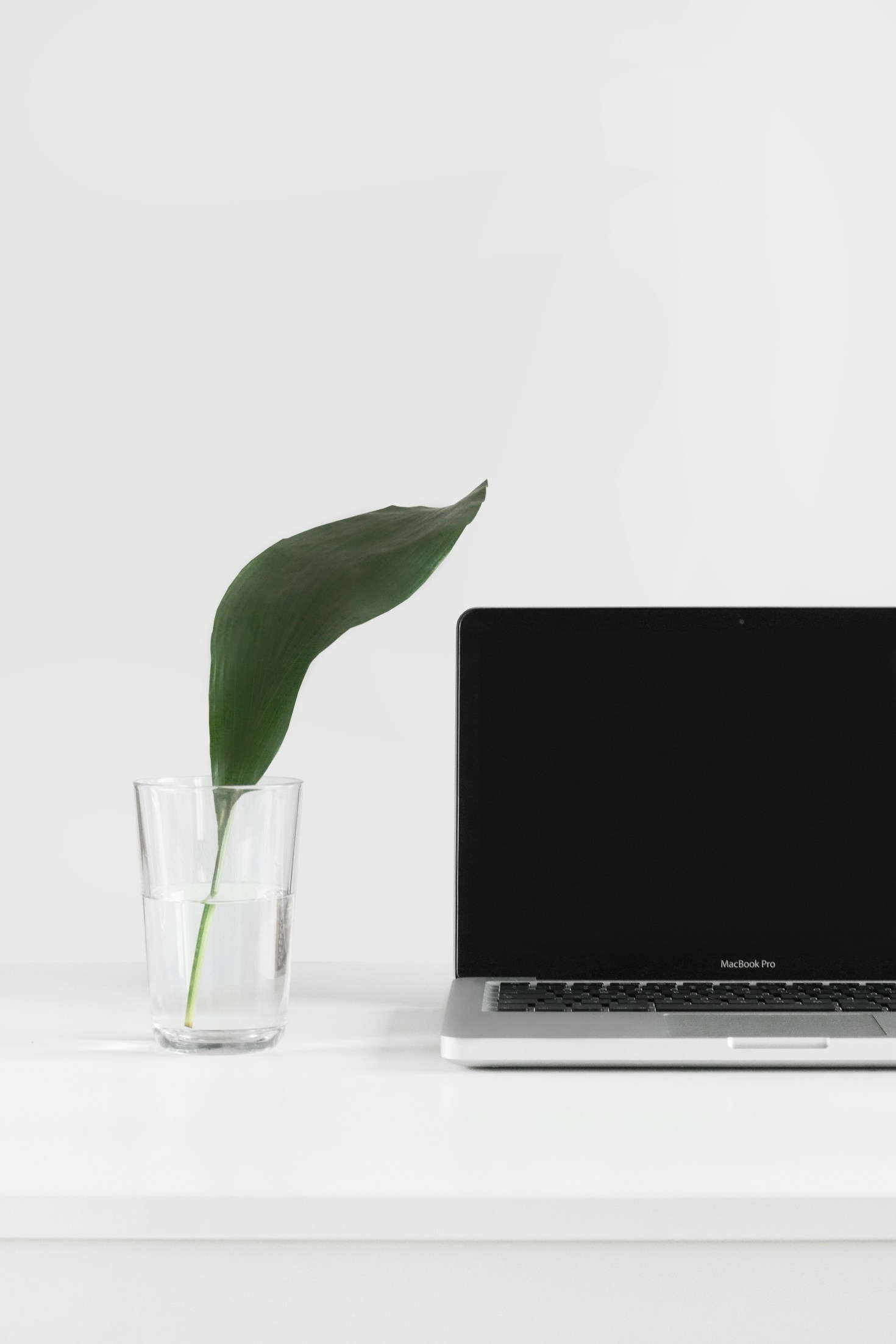 Daniela’s Approach to Design and Creativity